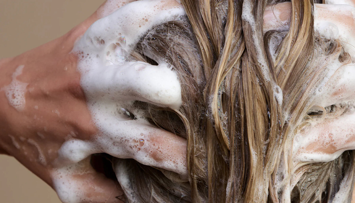 重さを残さない。The Shampooが髪を軽やかに保つ理由